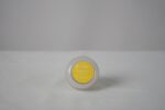 Lip Scrub